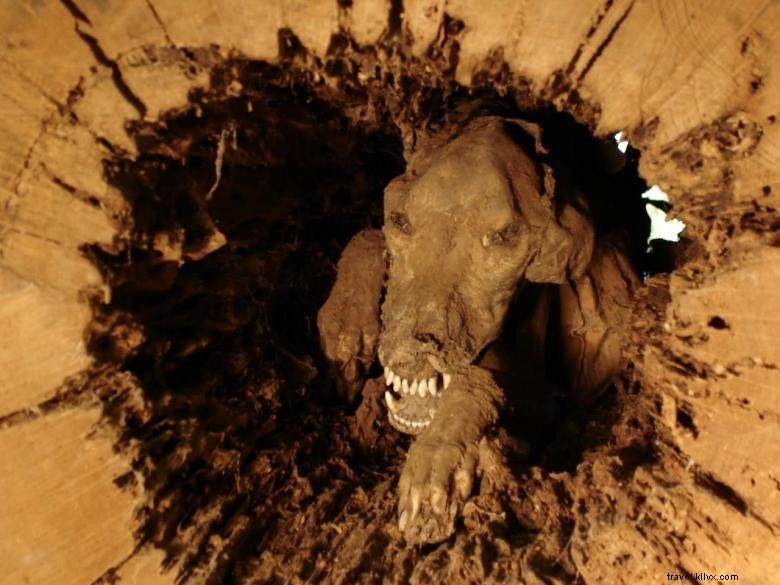 Discover Southern Forest World: Scenic Coastal Georgia & Waycross Guide