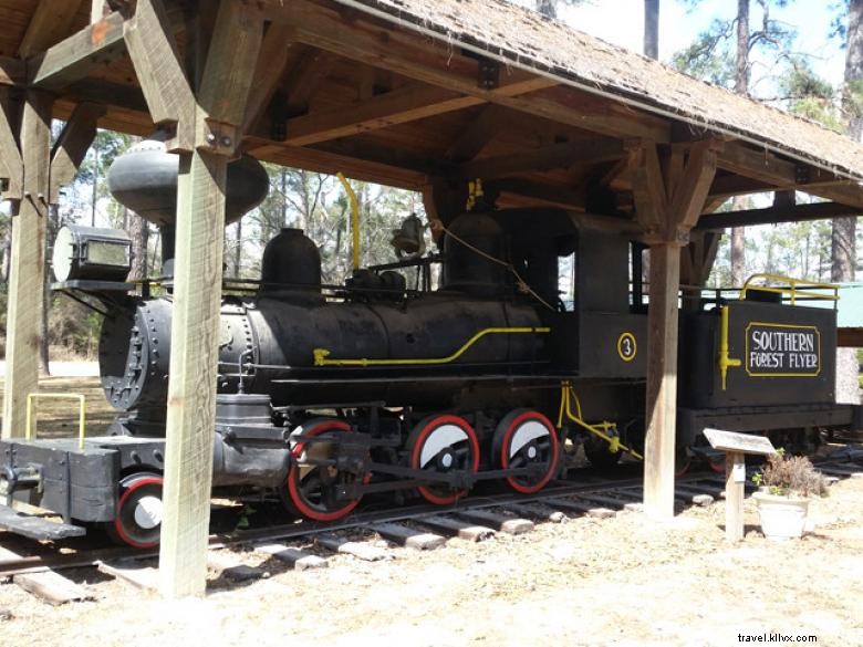 Discover Southern Forest World: Scenic Coastal Georgia & Waycross Guide