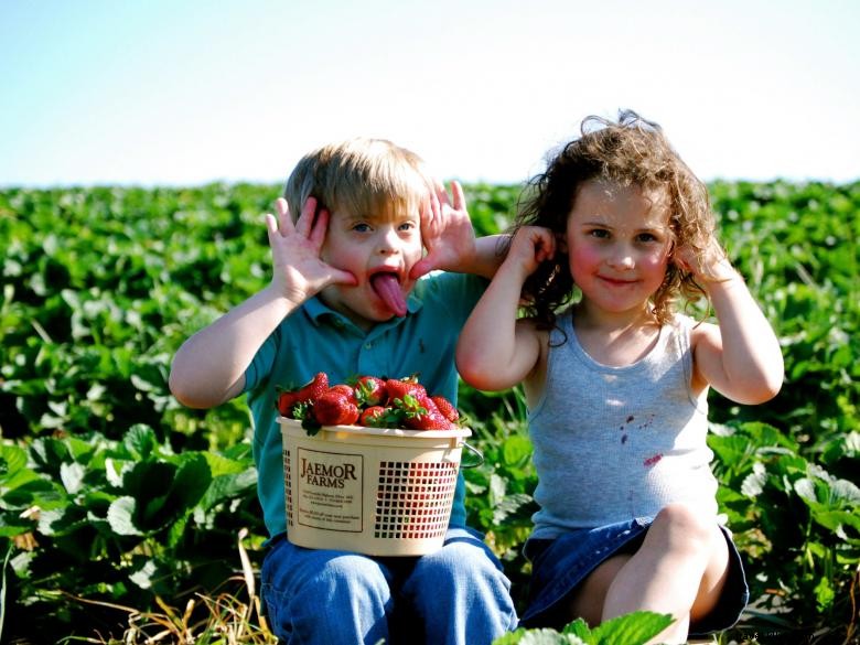 Jaemor Farms: Family-Run Fresh Produce & Homemade Jams