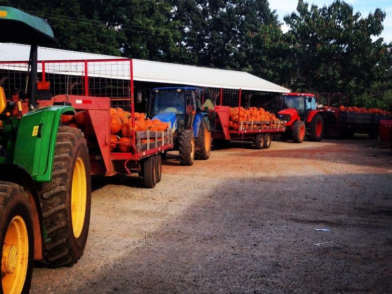 Jaemor Farms: Family-Run Fresh Produce & Homemade Jams