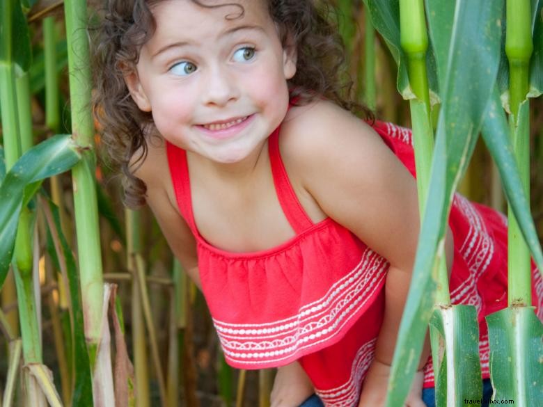 Jaemor Farms: Family-Run Fresh Produce & Homemade Jams