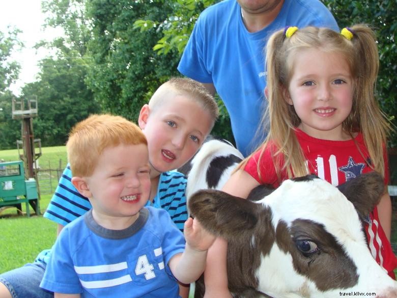 Hillcrest Orchards: Fresh Fruit & Family Fun