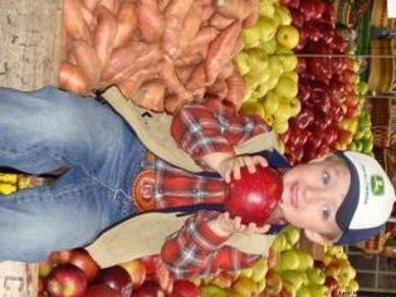 Hillcrest Orchards: Fresh Fruit & Family Fun