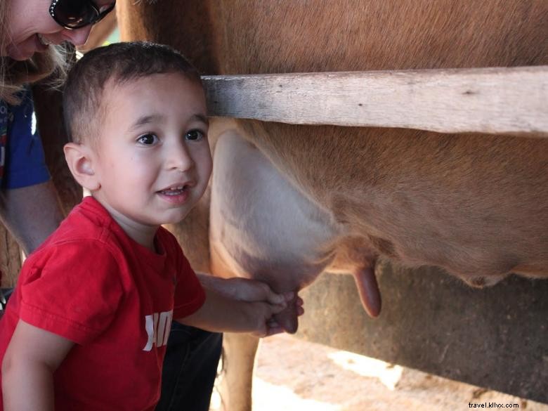 Hillcrest Orchards: Fresh Fruit & Family Fun