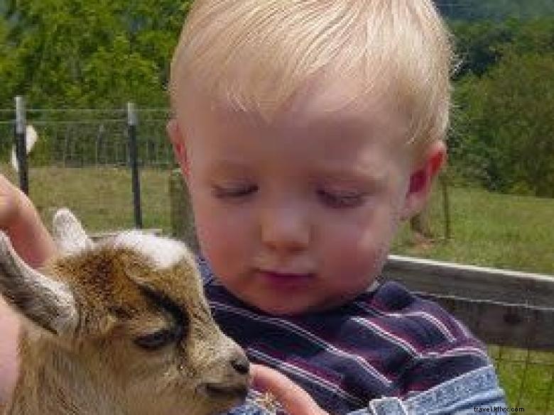 Hillcrest Orchards: Fresh Fruit & Family Fun