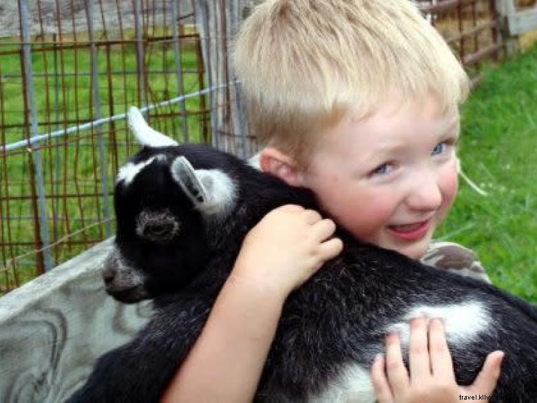 Hillcrest Orchards: Fresh Fruit & Family Fun