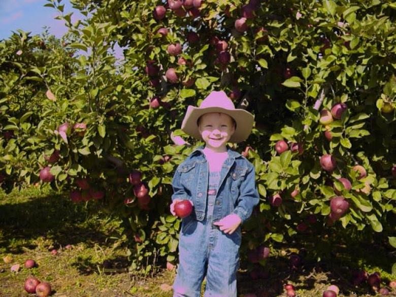 Hillcrest Orchards: Fresh Fruit & Family Fun