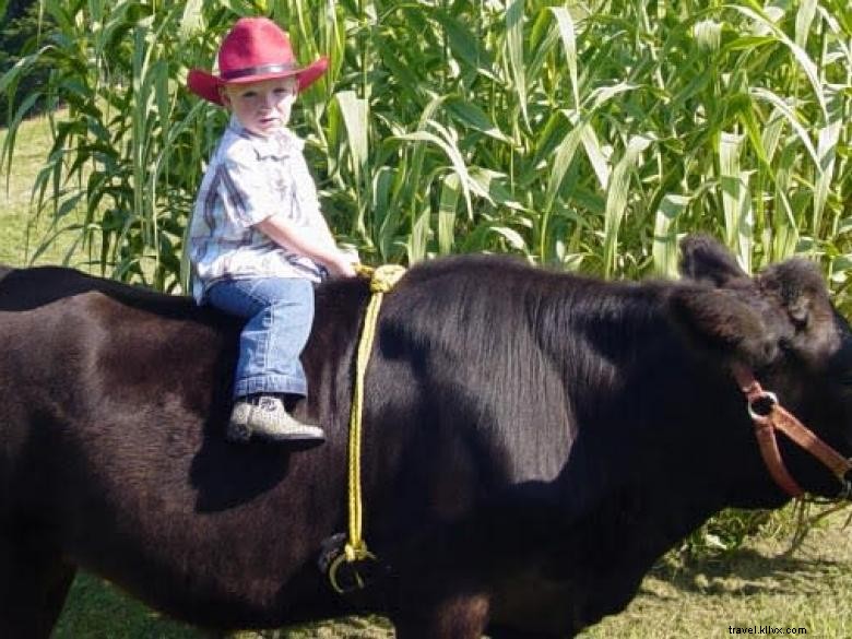 Hillcrest Orchards: Fresh Fruit & Family Fun