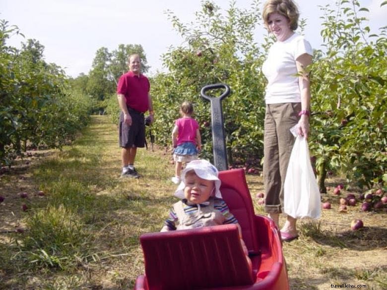 Hillcrest Orchards: Fresh Fruit & Family Fun