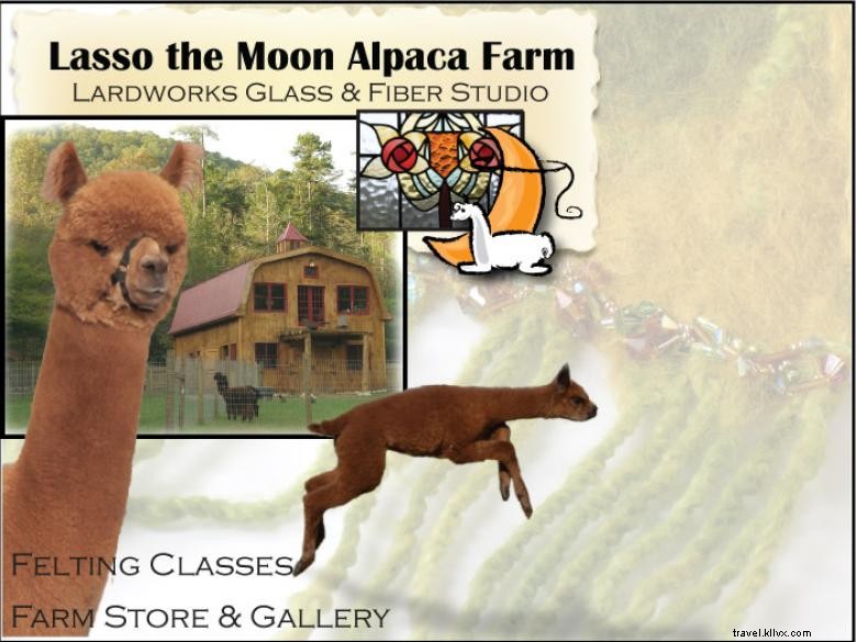 Explore Lasso the Moon Alpaca Farm & Lardworks Studio: Glass, Fiber, Jewelry & Alpaca Experiences