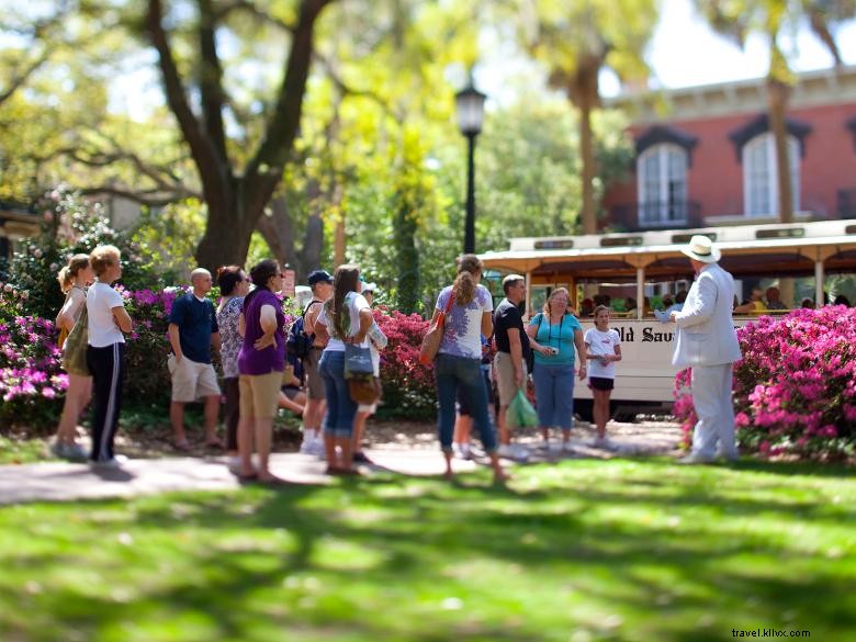 Explore Savannah s Historic Treasures: Premium Guided Tours