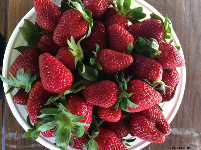 Washington Farms: Premium Pick‑Your‑Own Strawberry Experience