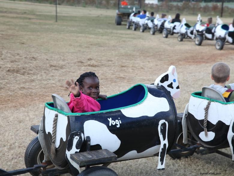 Washington Farms: Premium Pick‑Your‑Own Strawberry Experience