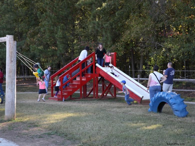 Washington Farms: Premium Pick‑Your‑Own Strawberry Experience