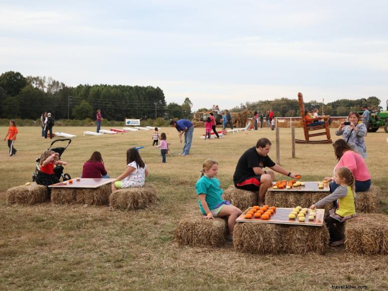 Washington Farms: Premium Pick‑Your‑Own Strawberry Experience