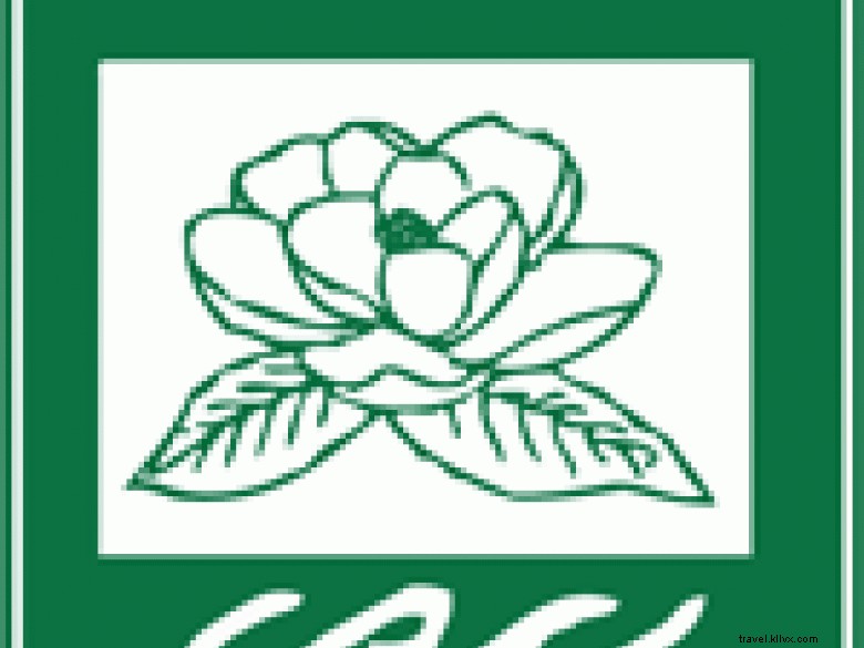 Douglasville Cultural Arts Center – Celebrating Local Art & Community