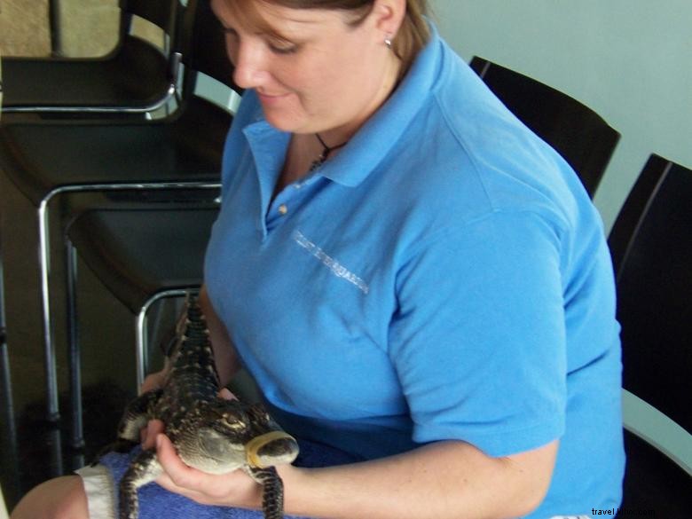 Explore Flint River Aquarium – Family‑Friendly Marine Adventures