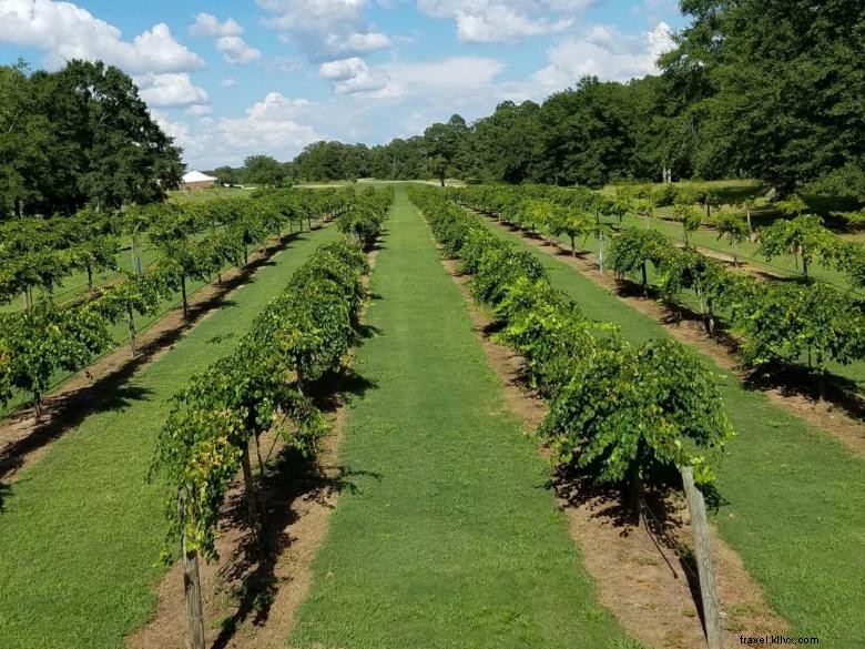 Wolf Creek Vineyard & Winery – Premium Wines & Scenic Events