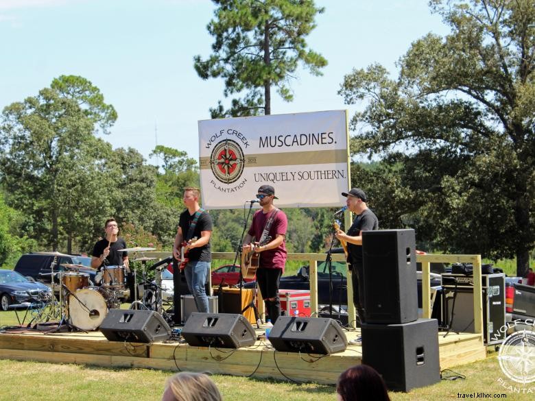 Wolf Creek Vineyard & Winery – Premium Wines & Scenic Events