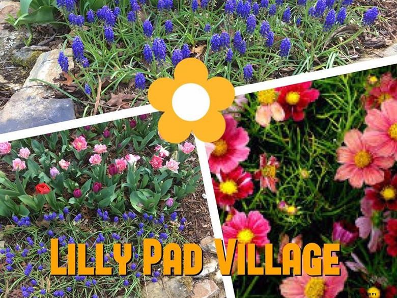 Discover Lilly Pad Village: Family-Friendly Activities in Blue Ridge, GA
