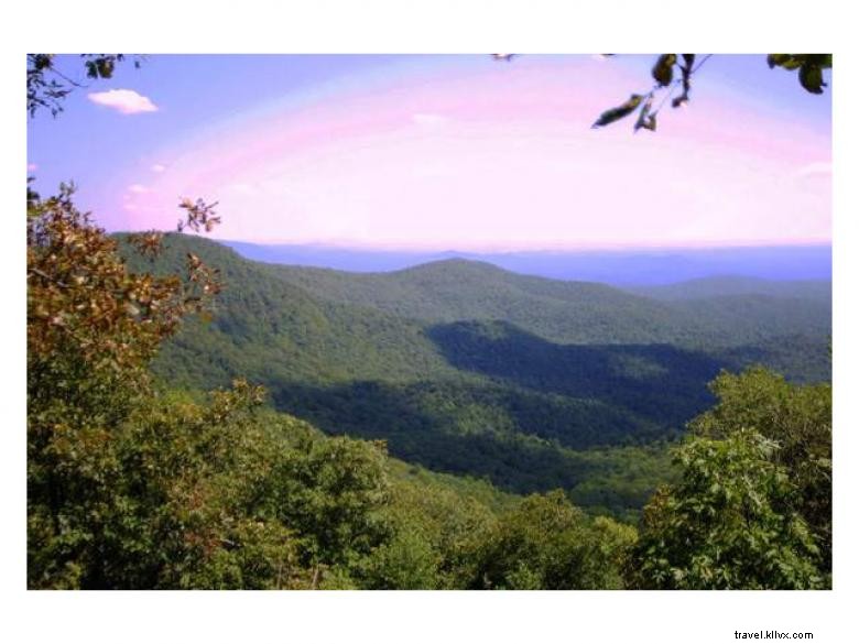 Discover Lilly Pad Village: Family-Friendly Activities in Blue Ridge, GA