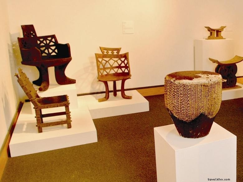 Explore the Albany Museum of Art – Culture, Exhibitions & History