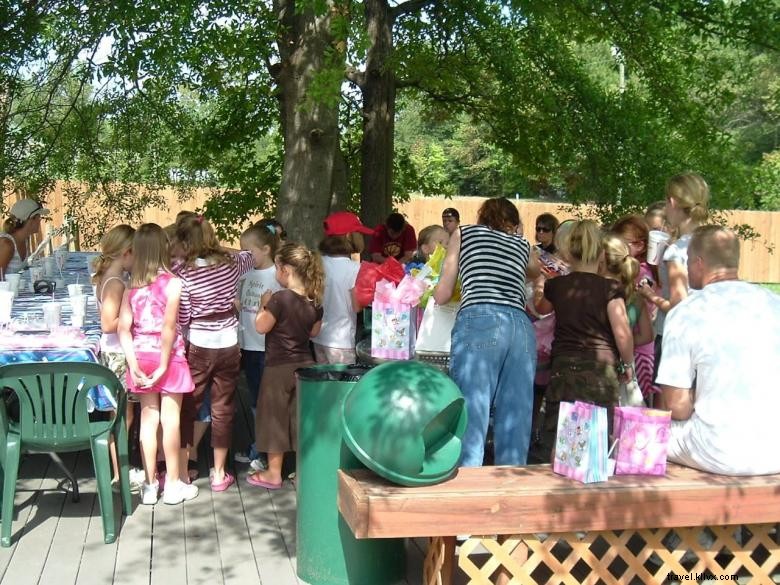 Dalton Falls Fun Center – Adventure & Laser Tag