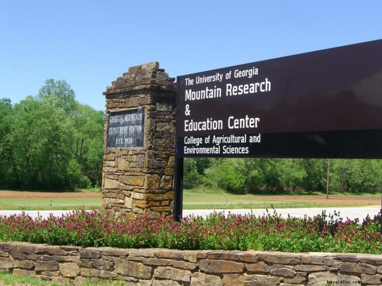 Explore the Gardens of Georgia Mountain Research & Education Center