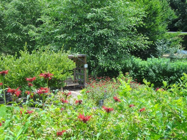 Explore the Gardens of Georgia Mountain Research & Education Center
