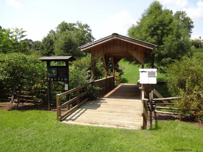 Explore the Gardens of Georgia Mountain Research & Education Center