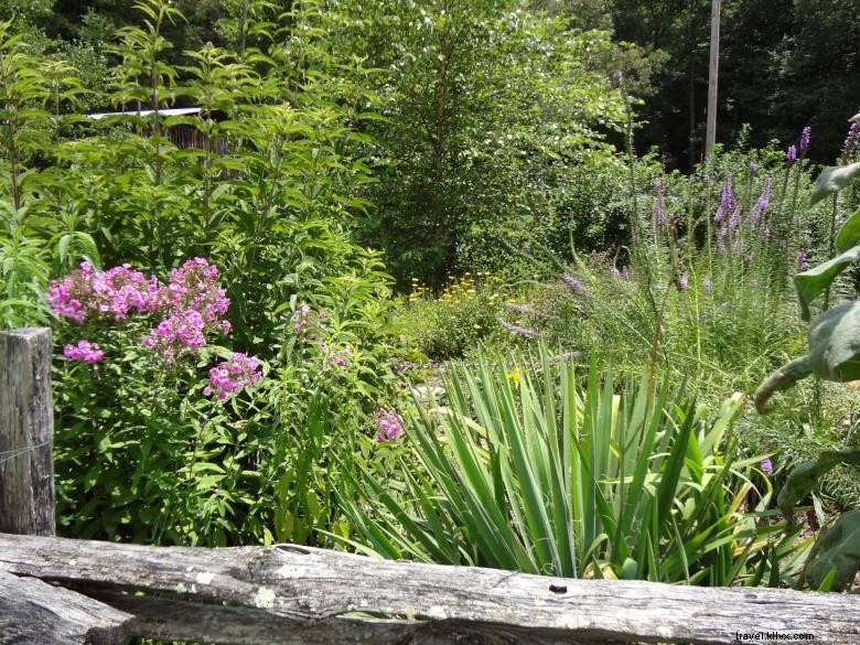 Explore the Gardens of Georgia Mountain Research & Education Center