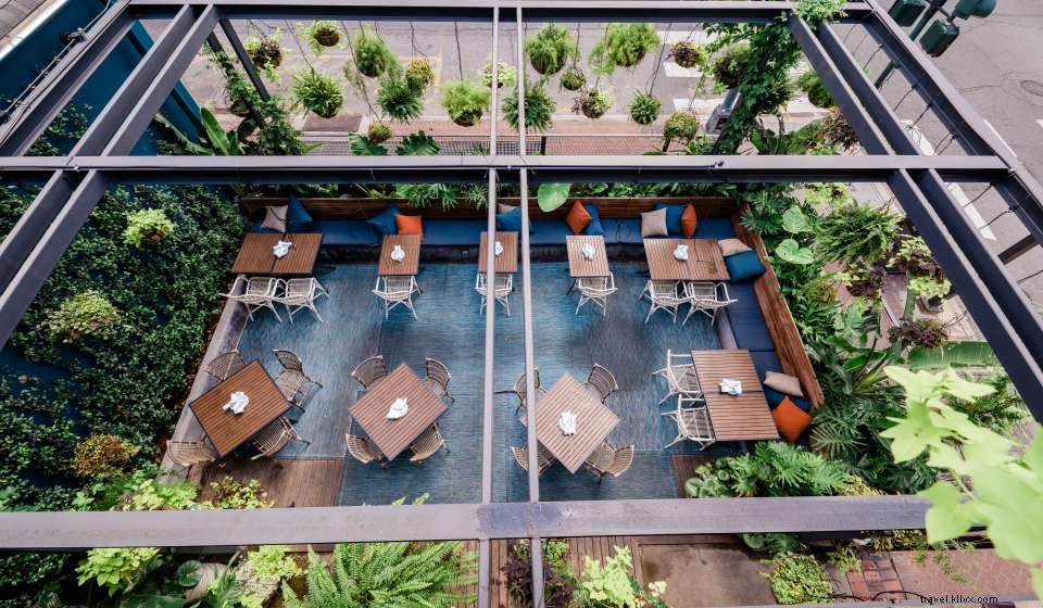 Plan Your Pre‑Show Dinner or Drinks in New Orleans