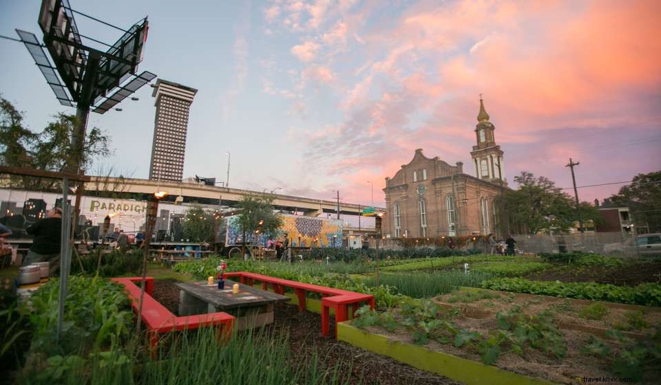 Farm-to-Table Dining: Louisiana s Fresh Gulf Coast Seafood