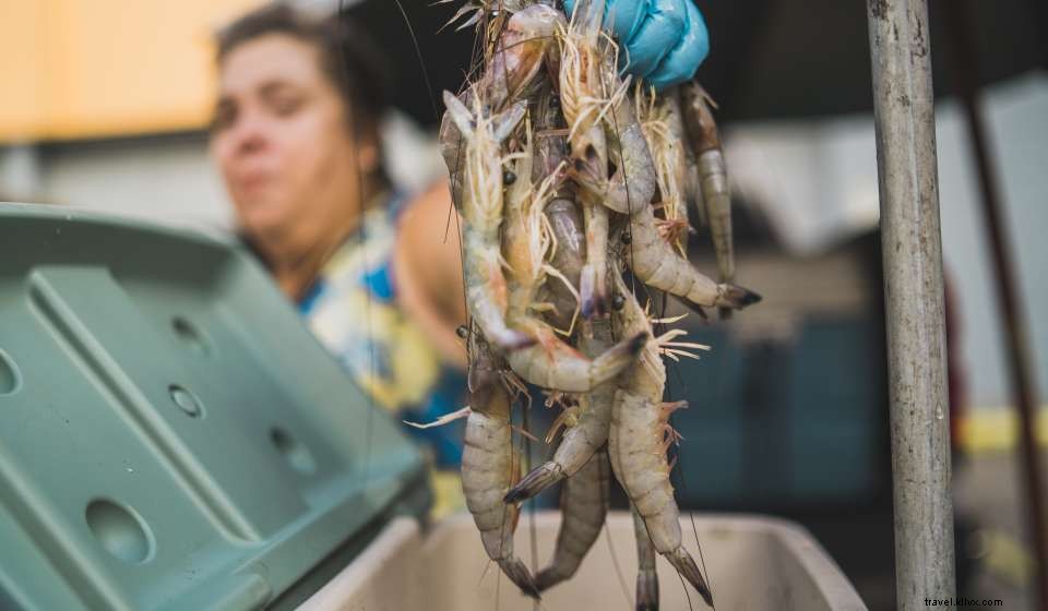 Discover New Orleans’ Innovative Food Pop-Ups