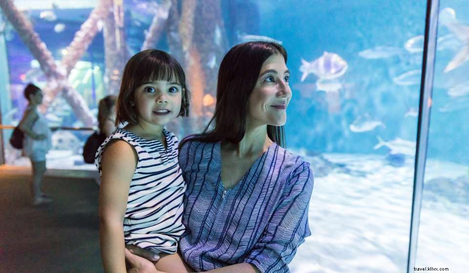 Your Ultimate Pre‑Cruise Itinerary for Disney Wonder in New Orleans