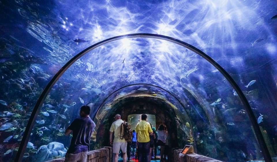 Explore New Orleans: 8 Must‑Do Activities for a Perfect Warm Day