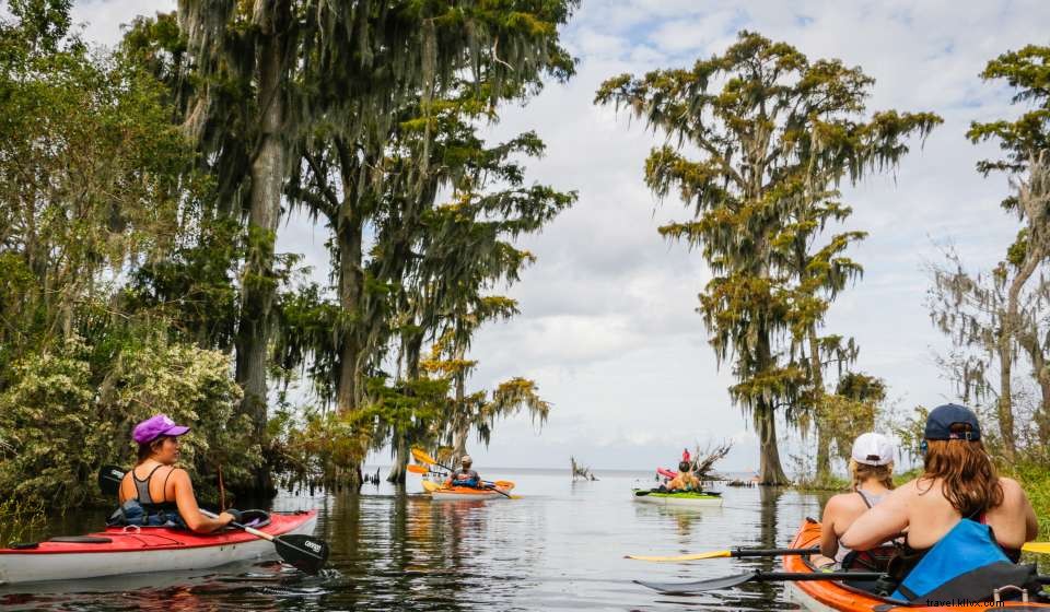 Explore New Orleans: 8 Must‑Do Activities for a Perfect Warm Day