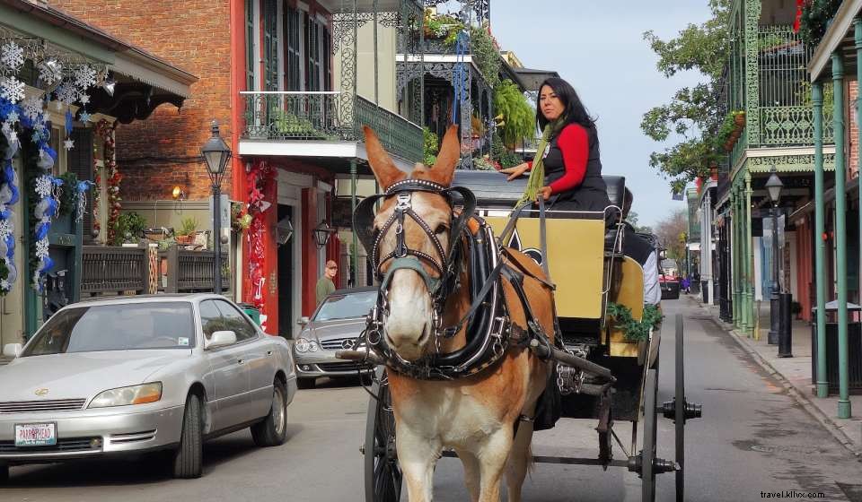 10 Essential Activities Before You Set Sail from Port of New Orleans