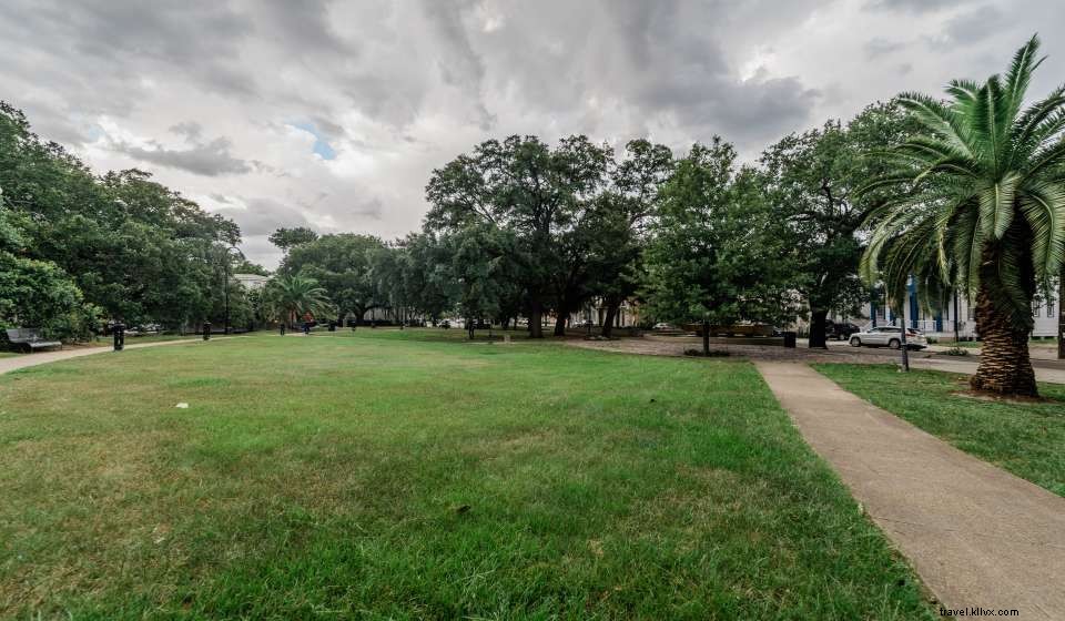 Explore the Best Picnic Spots in New Orleans: Parks, Views & Food Picks