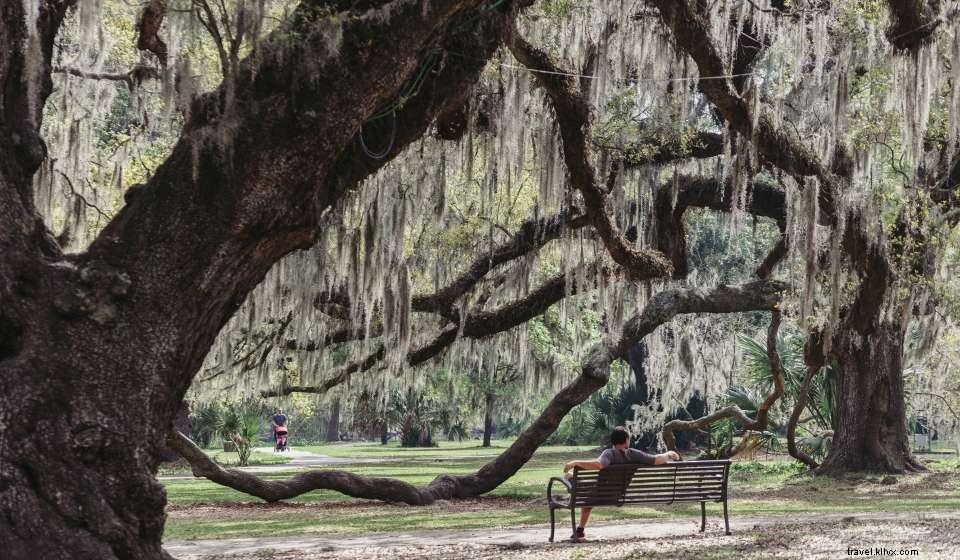 Explore the Best Picnic Spots in New Orleans: Parks, Views & Food Picks