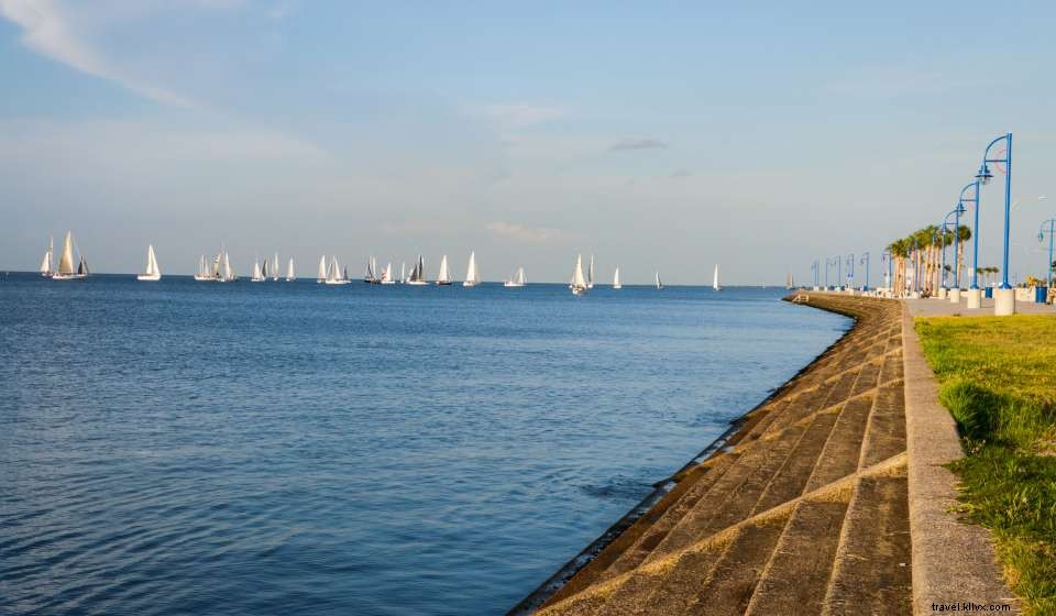 Explore the Best Picnic Spots in New Orleans: Parks, Views & Food Picks