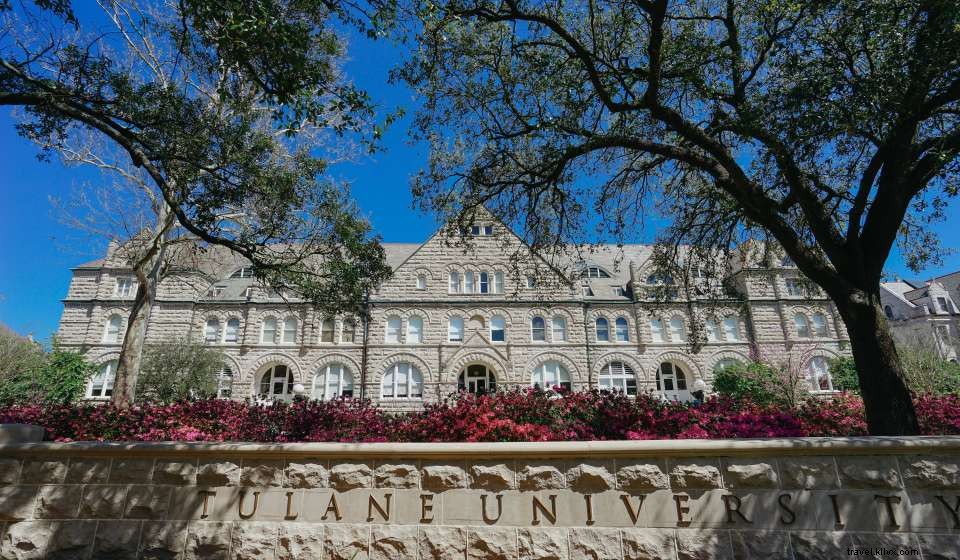 Explore New Orleans Museums & Exhibits Virtually: Guided Online Tours & Digital Collections