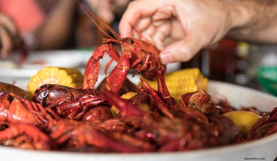 Your Definitive Spring Travel Guide to New Orleans: Sun, Culture, and Celebration