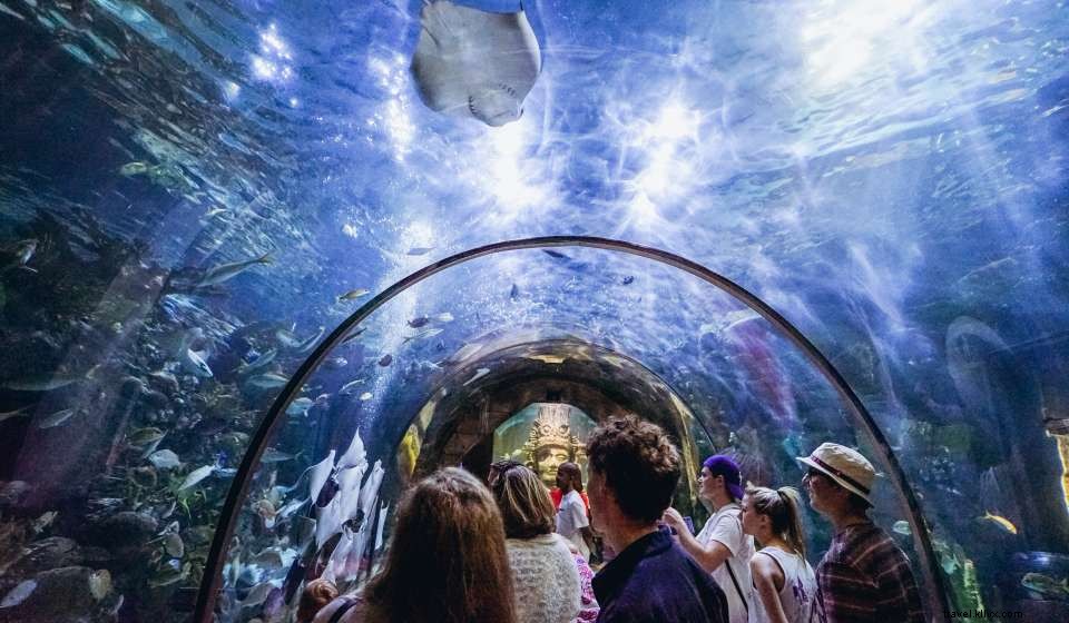 Your Definitive Spring Travel Guide to New Orleans: Sun, Culture, and Celebration