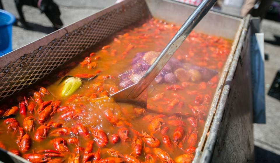 Top 10 Must-Do Experiences in New Orleans This February