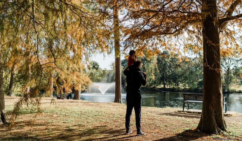 Discover 10 Must‑Do Activities in New Orleans This June