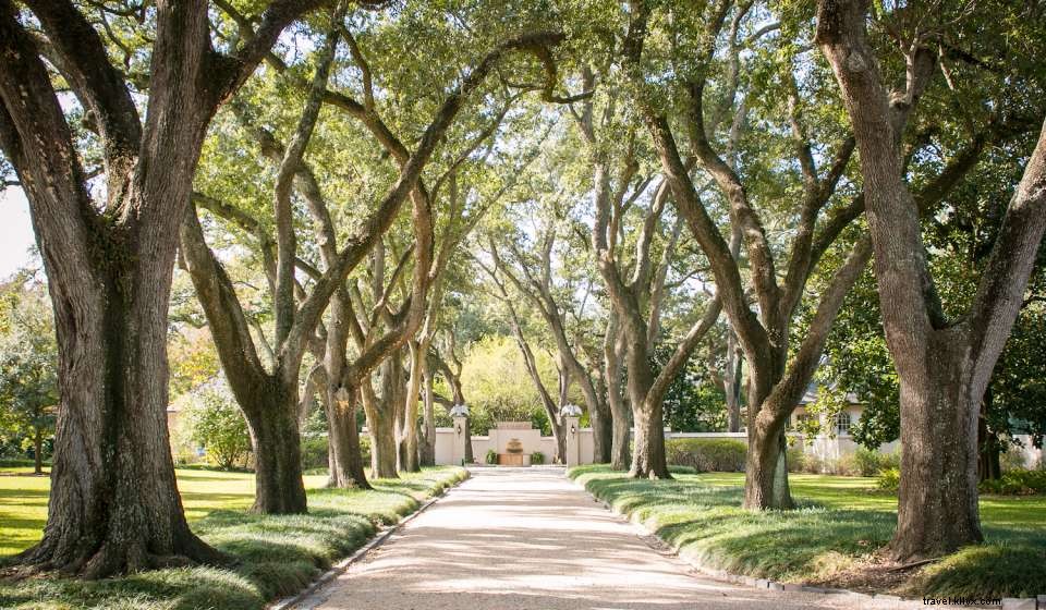 Top Public Gardens to Explore in New Orleans