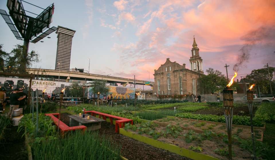 Top Public Gardens to Explore in New Orleans