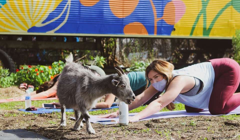 Explore New Orleans in April: Top 10 Must-Do Activities