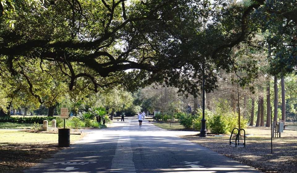 Top 10 Must-Do Activities in New Orleans this March